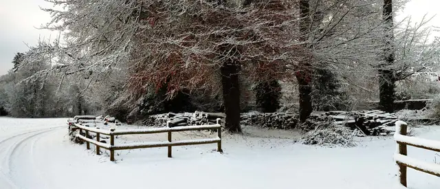 Red Leaves in the Snow - Dorset – Dorset Through the Seasons