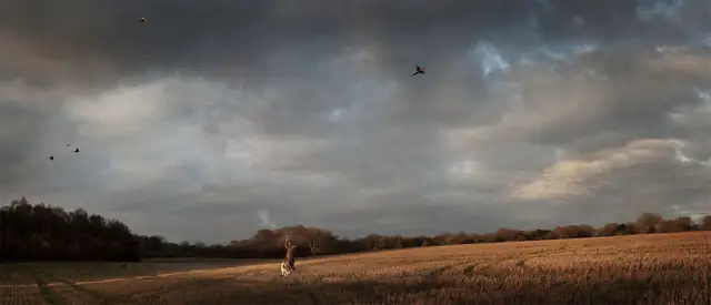 Shooting Party On Lord Shaftesbury's Estate – Shooting Party, Lord Shaftesbury's Estate