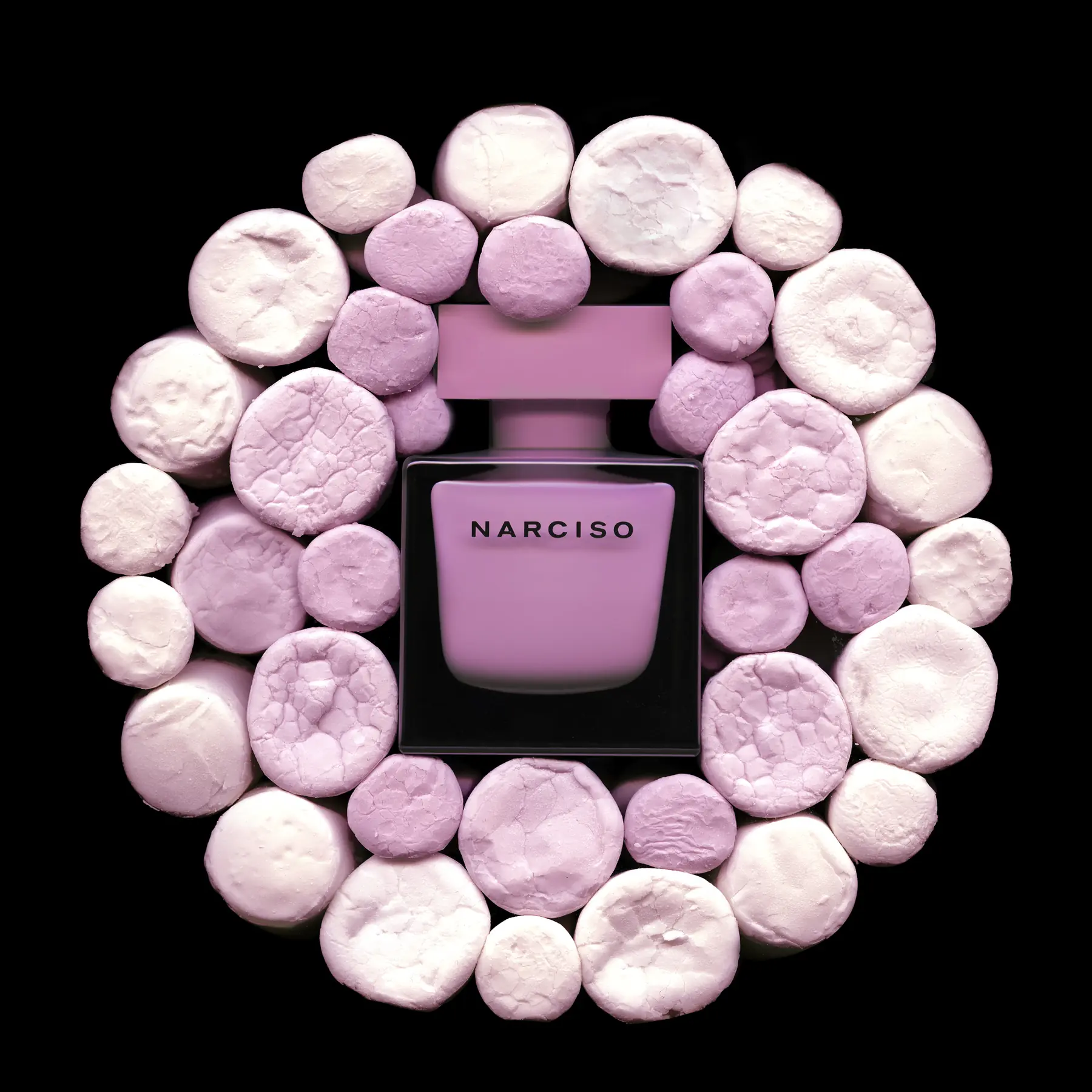 Narcisso 'Pink'