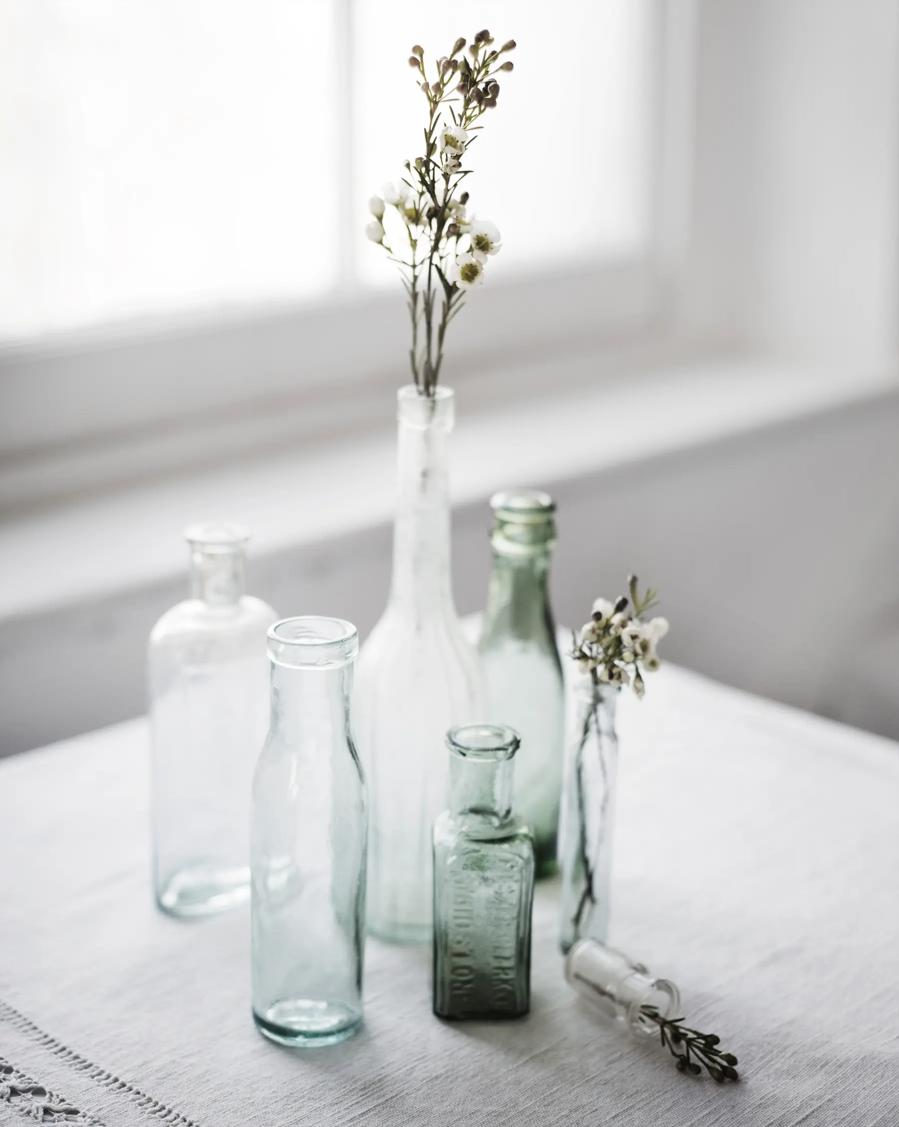 Bottles – Bottles, Leaves and Thistle