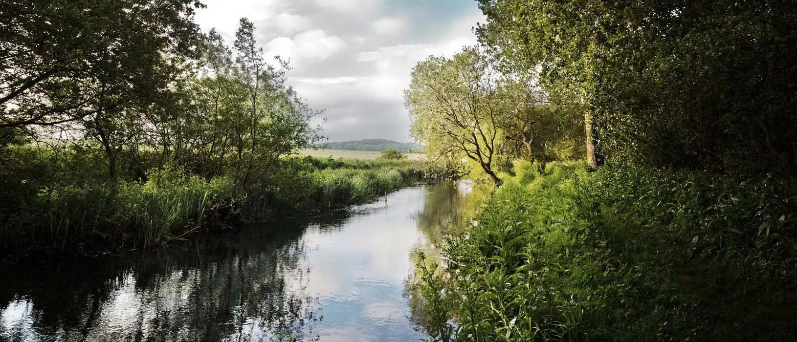 River Allen St Giles Estate – St Giles House Park