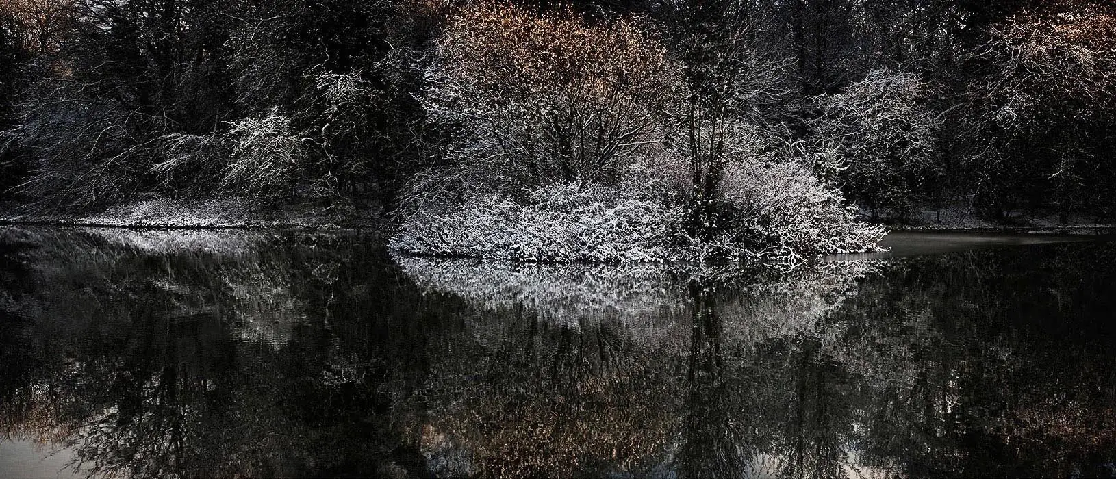 Lake Reflections in St Giles House Park