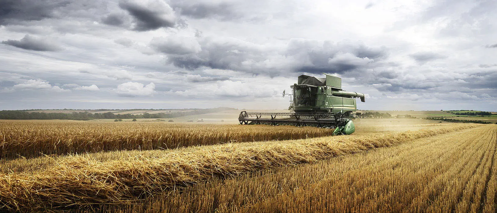 Storm rising at Harvest time – Dorset Through the Seasons