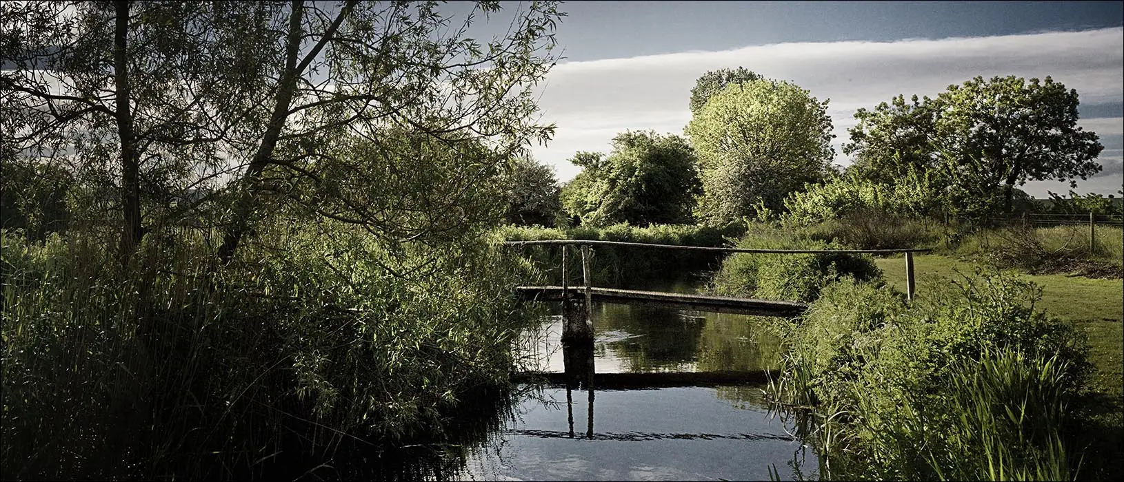Bridge over the Allen – St Giles House Park