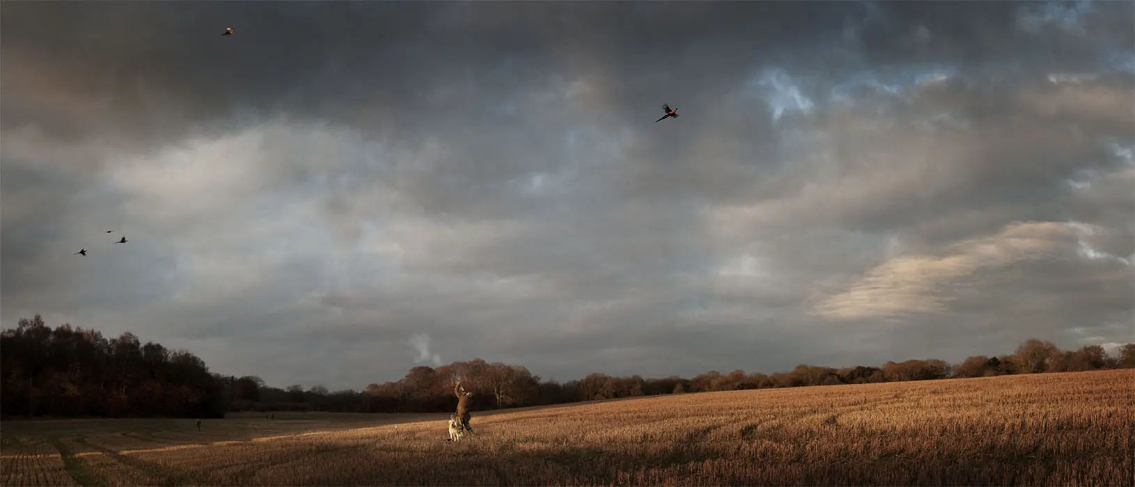 Shooting Party On Lord Shaftesbury's Estate – Shooting Party, Lord Shaftesbury's Estate