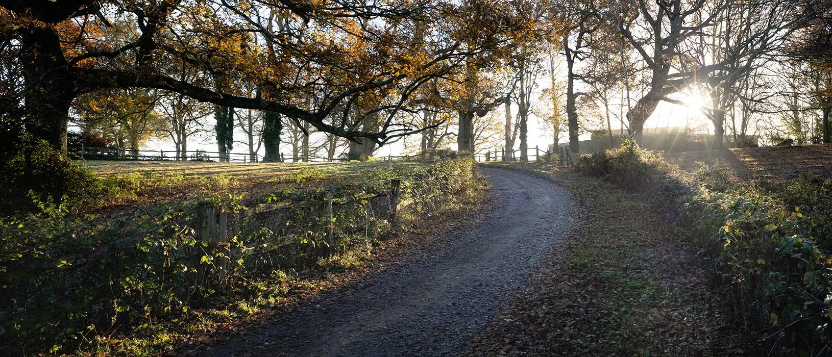 Glebe House Drive - Morning View – Glebe House Estate